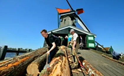 Zaanse Schans Windmills and Museums Entrance With Audioguide