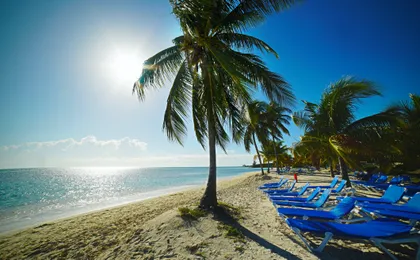 Day trip to Bimini Island by ferry