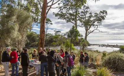 Bruny Island safaris, local food tasting and lighthouse tour