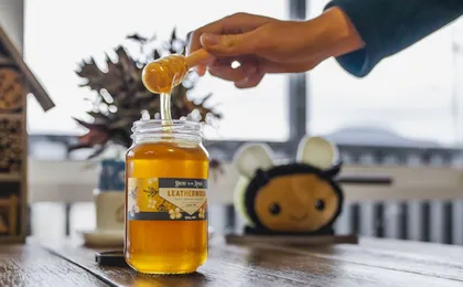 Cider, Gin and Honey Tour in the Huon Valley from Hobart