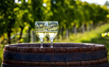 Konavle Valley wine-tasting tour with scenic train ride