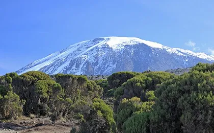 7 Day Kilimanjaro Climb - Machame route