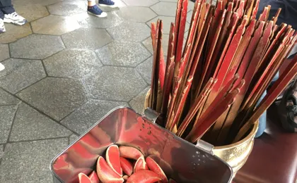 Taipei guided city tour with National Palace Museum entrance ticket