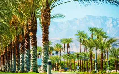 Palm Springs City and Desert App-Guided Driving Tour