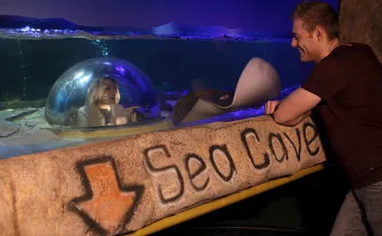 Sea life Blackpool entrance tickets