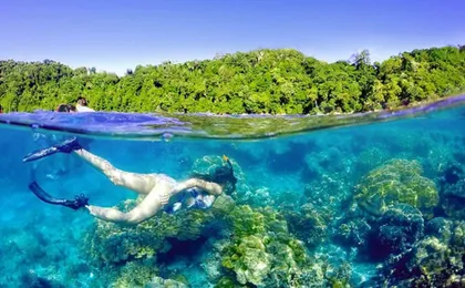 Full-day Surin Islands snorkel tour by speedboat from Khao Lak