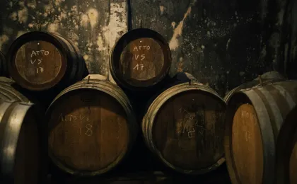 Wine Experience through Chianti Hills from Florence