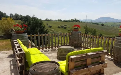 Guided wine tasting tour in San Valentino vineyards