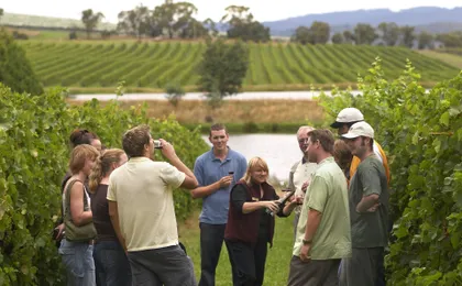La Rioja winery visit from Bilbao with traditional lunch