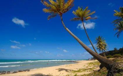 City Tour Of Natal And The South Coast-Group Tour