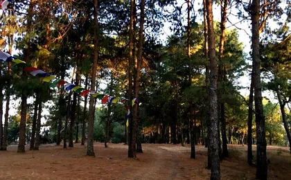 Kathmandu Best Scenic Day Hiking to Champa Devi Hill