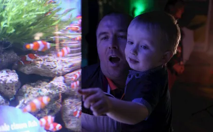 Sea life Blackpool entrance tickets