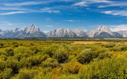 Grand Teton and Yellowstone Self-guided Driving Tours Bundle