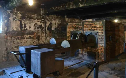 Auschwitz and Birkenau self-guided tour with transfer from Krakow