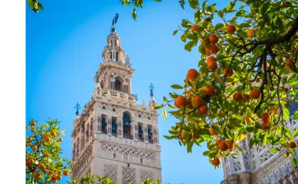 Seville Cathedral skip-the-line tickets and guided tour
