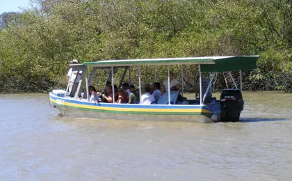 Jungle river cruise at Palo Verde National Park