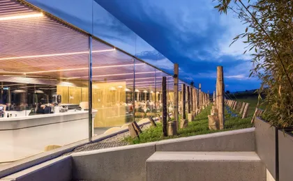 Pressoria, a sensory journey and wine tasting in Champagne