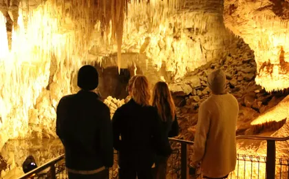 Waitomo Glowworm Cave Tour with Boat Ride