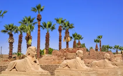 2 Days Tour to Cairo & Luxor from Marsa Alam by Flight