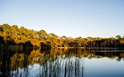 Big Cypress National Preserve Self-Guided Driving Audio Tour