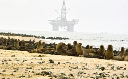 Walvis Bay Highlights Tour
