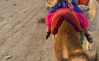 Agafay desert private sunset camel ride from Marrakech