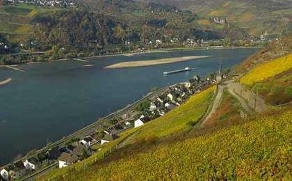 Day tour to the Rhine Valley from Frankfurt