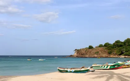 Whale & Dolphin Watching Boat Trip with Trincomalee Tour from the East Coast