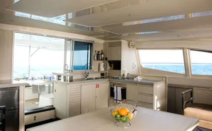 Madeira VIP Whale & Dolphin Watching Cruise