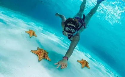 Cielo, Cielito, Palancar and Colombia Reefs Boat Tour