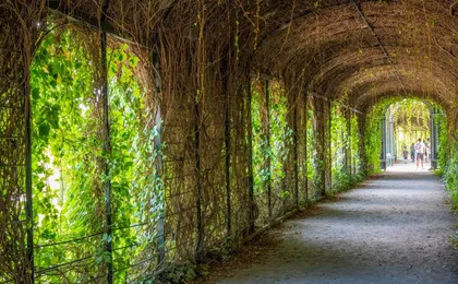 Vienna’s Schönbrunn Palace Guided Tour with Skip-the-Line Tickets