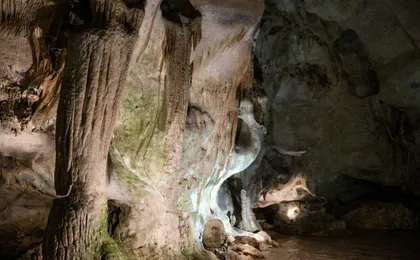 Spiritual and natural highlights tour from Veliko Tarnovo