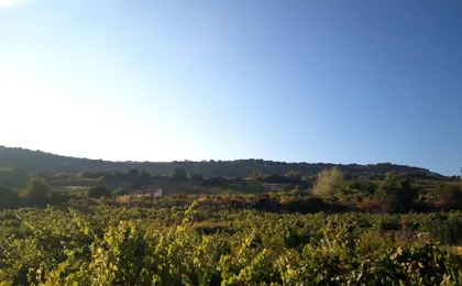 Limassol, Omodos and wine-tasting tour