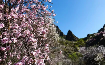 Authentic Majorca Winter Tour