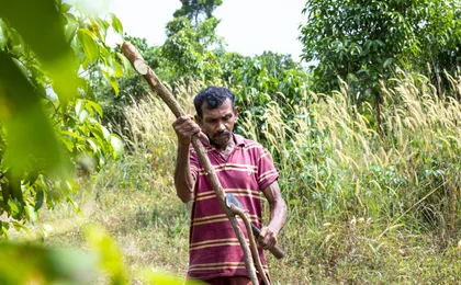 Sri Lankan Farm and Spice Traditions Tour with Tuk Tuk ride