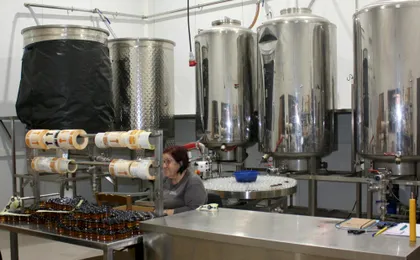 Mountain villages with lunch and honey-tasting from Ayia Napa and Protaras
