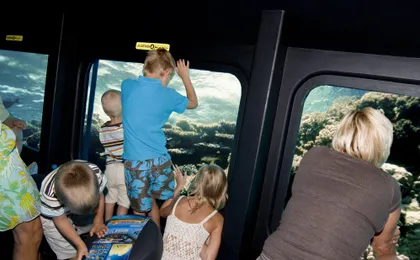 Royal Sea Scope Submarine experience from Dahab