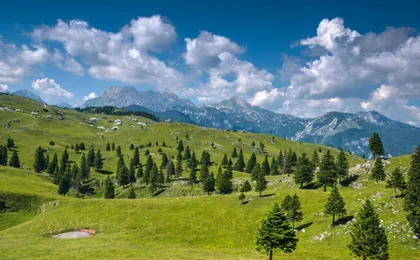 Kamnik and Velika Planina day trip with transport from Bled