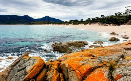 Wineglass Bay and Freycinet National Park Day Tour