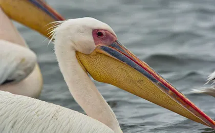 Walvis Bay Highlights Tour