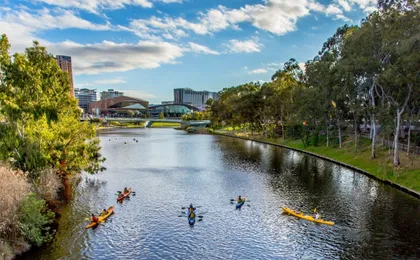 Adelaide kayak tour with expert instructors