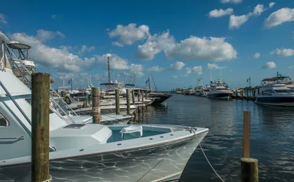 Sport fishing tour in Miami
