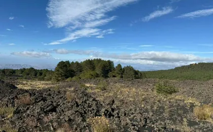 Half-day 4x4 tour of Mount Etna with lava cave and local tastings