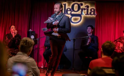 1-hour flamenco show at Malaga's Alegría