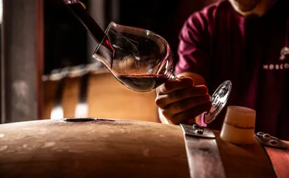 A journey through Piedmont's tradition and wines