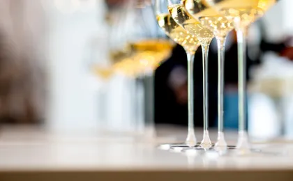 Pressoria, a sensory journey and wine tasting in Champagne