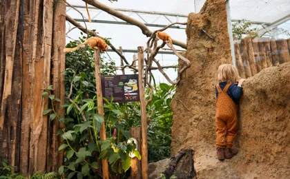 ZooParc Overloon entrance ticket
