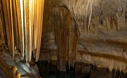Cova dels Coloms Sea Caves Guided Tour with Eco Island Adventure