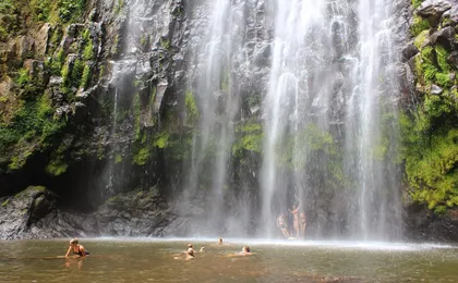From Arusha: Materuni Village and Waterfall Day Tour