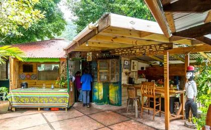 Kingston and Blue Mountains private tour with Bob Marley Museum